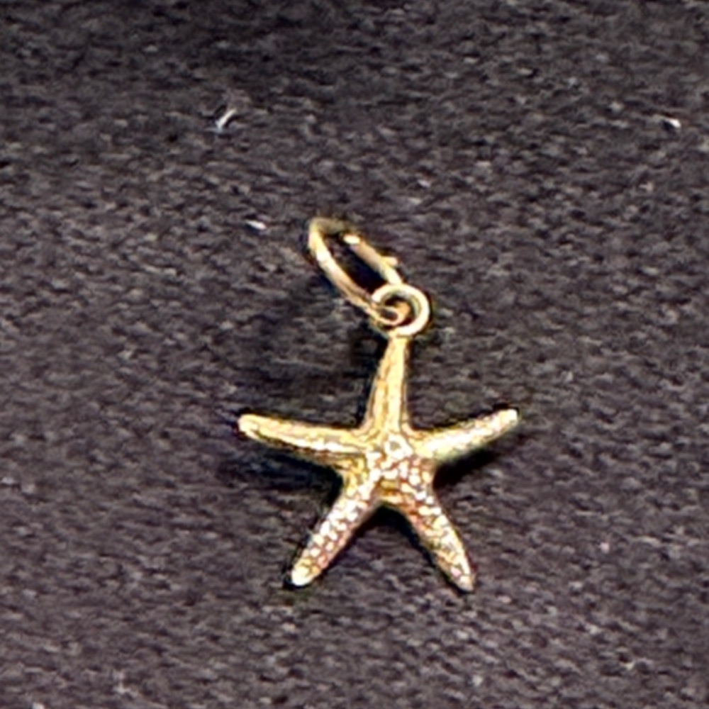 14k Gold Starfish Pendant/Charm